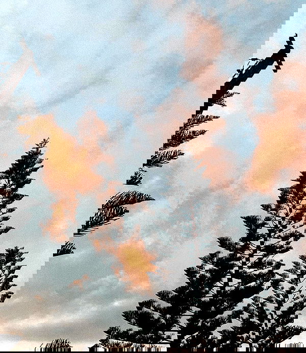 allygravemade image ~ Altpins