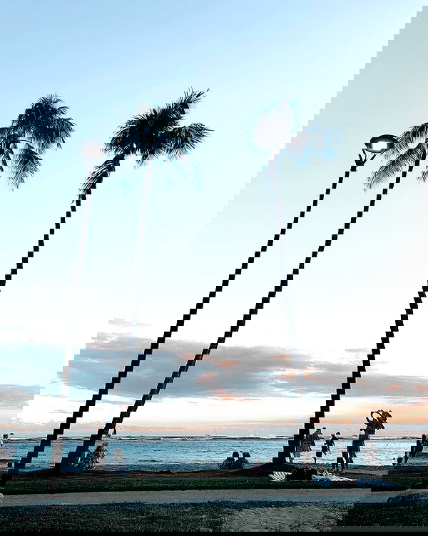 allygravemade image ~ Altpins