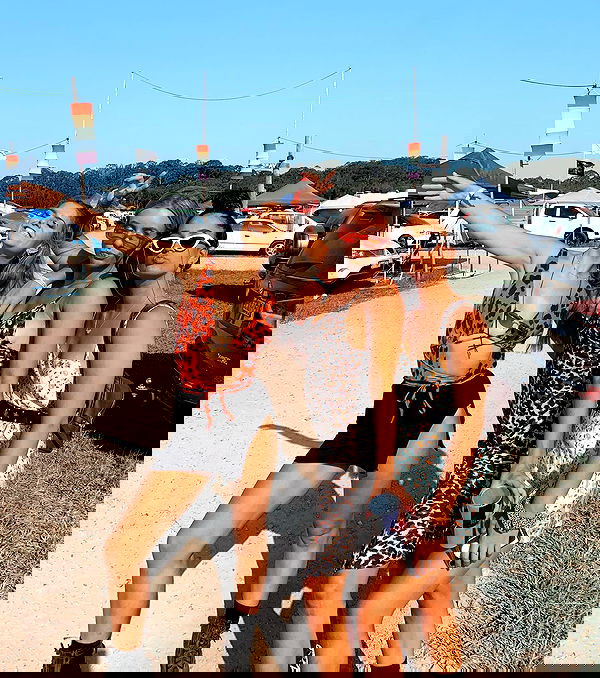 allygravemade image ~ Altpins