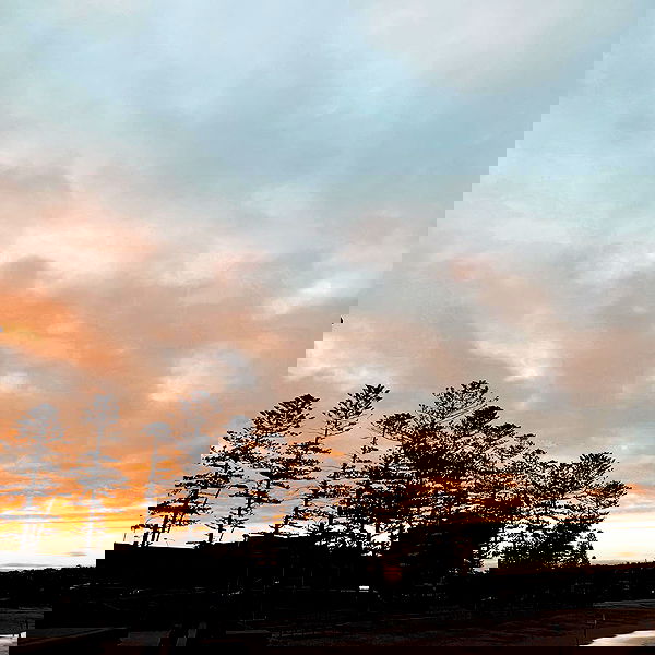 allygravemade image ~ Altpins