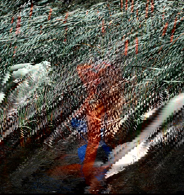 allygravemade image ~ Altpins