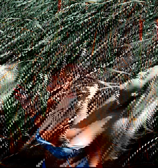 allygravemade image ~ Altpins