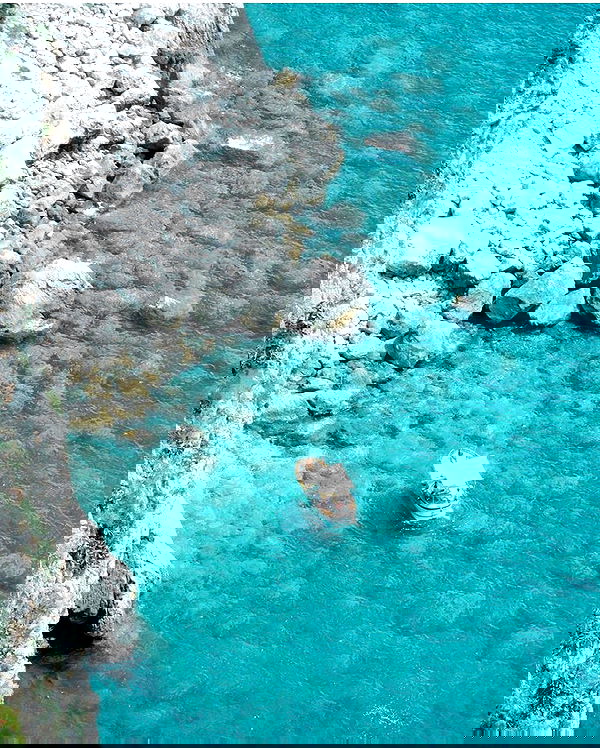 allygravemade image ~ Altpins