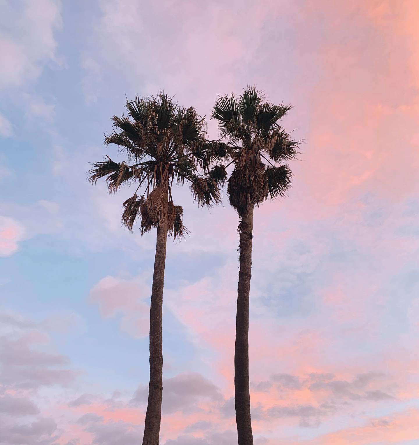 allygravemade instagram image archive image