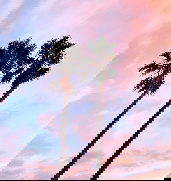 allygravemade image ~ Altpins