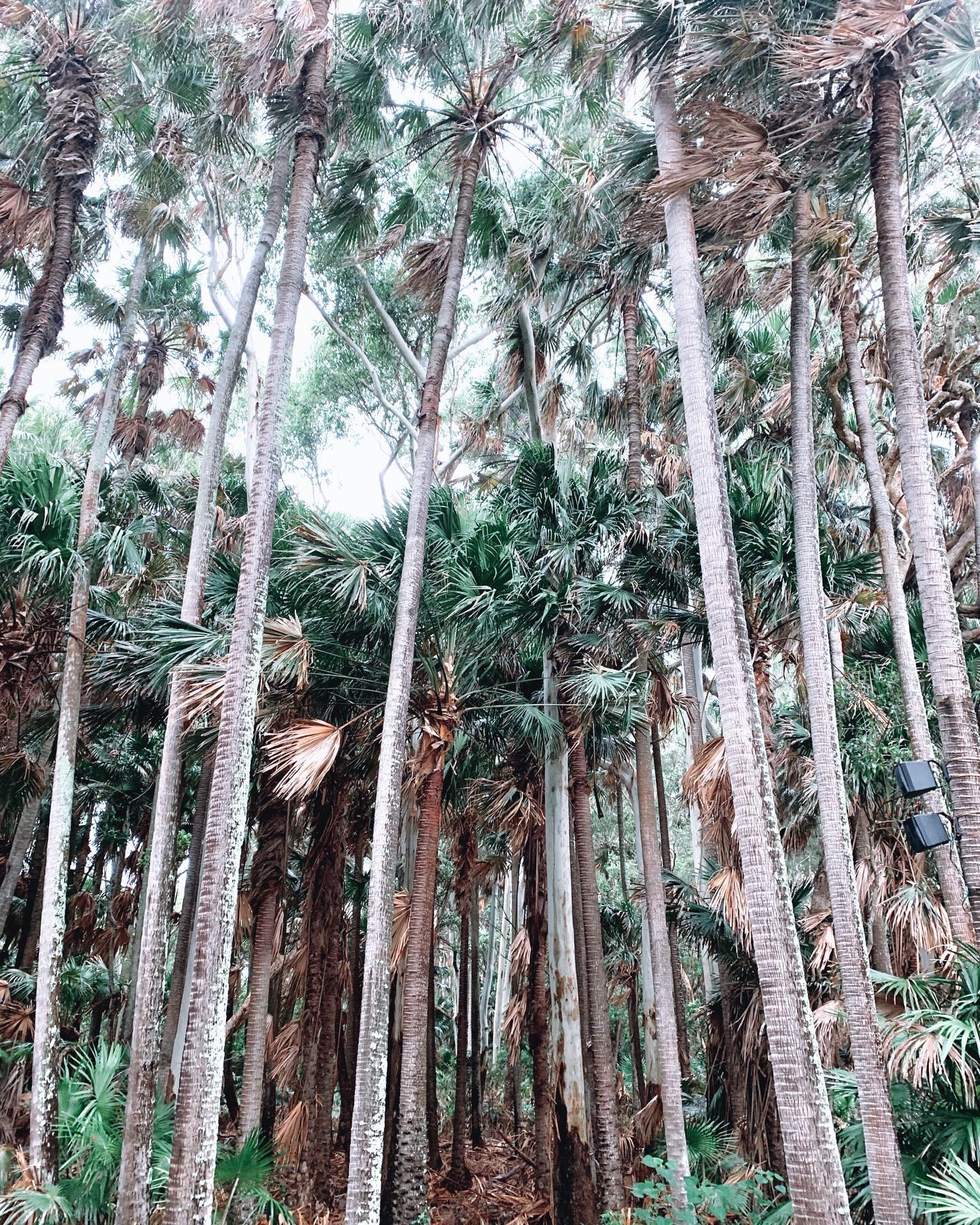 allygravemade instagram image archive image