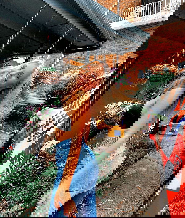 allygravemade image ~ Altpins