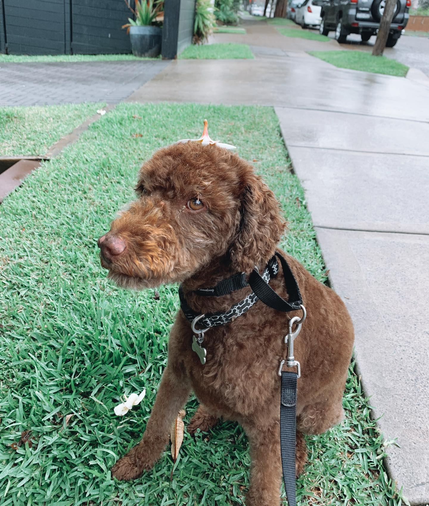 allygravemade instagram image archive image