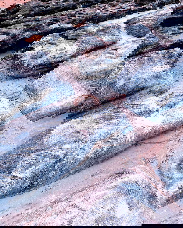 allygravemade image ~ Altpins