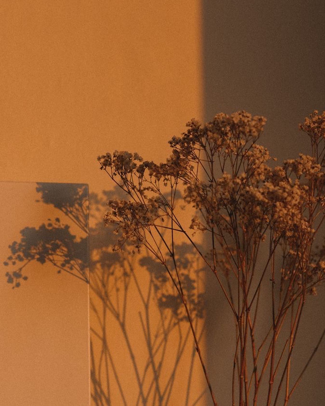 allygravemade instagram image archive image