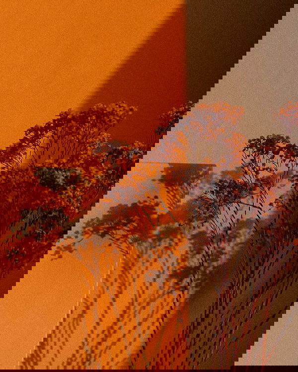 allygravemade image ~ Altpins