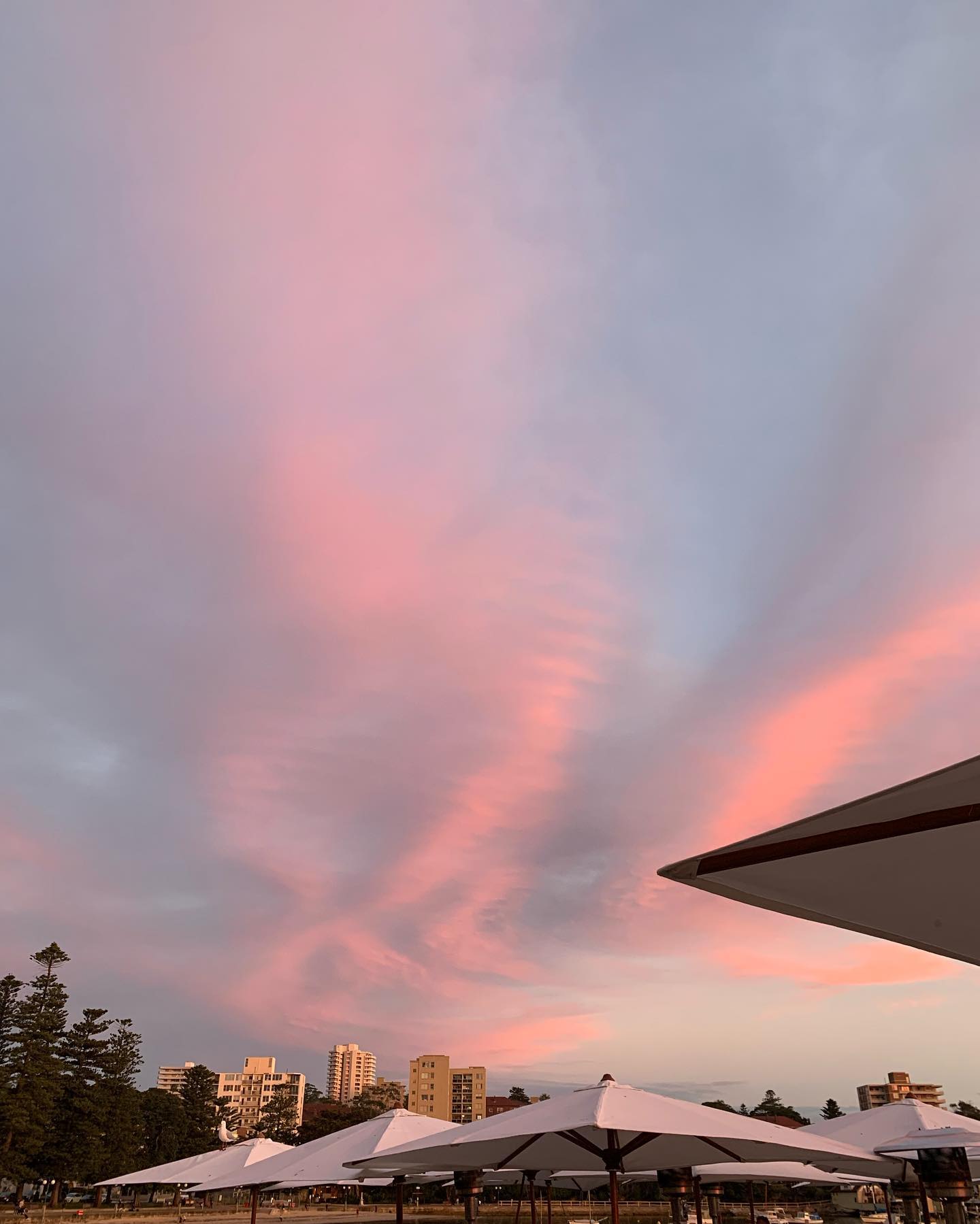 allygravemade instagram image archive image