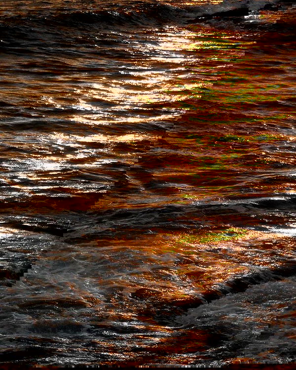 allygravemade image ~ Altpins