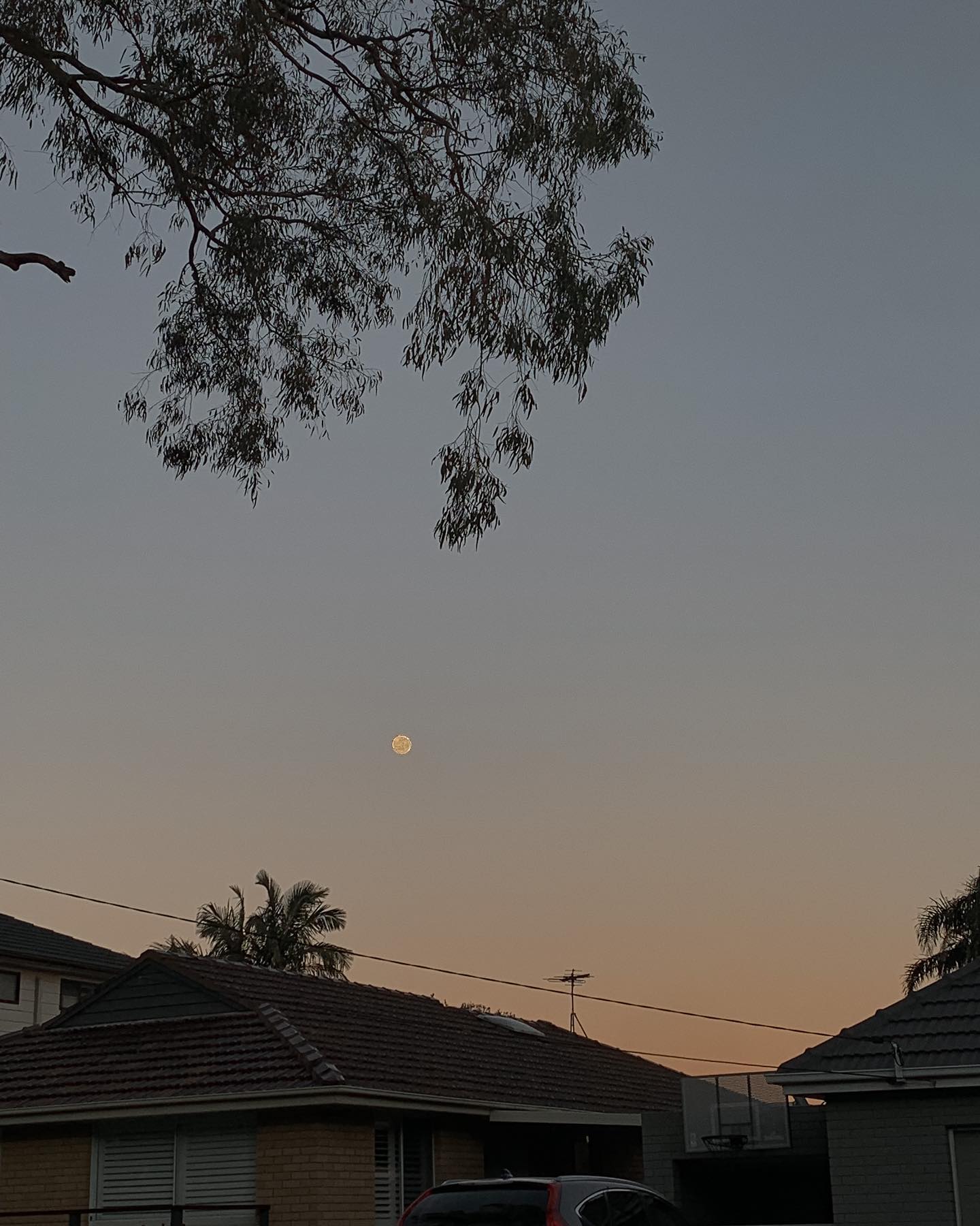 allygravemade instagram image archive image