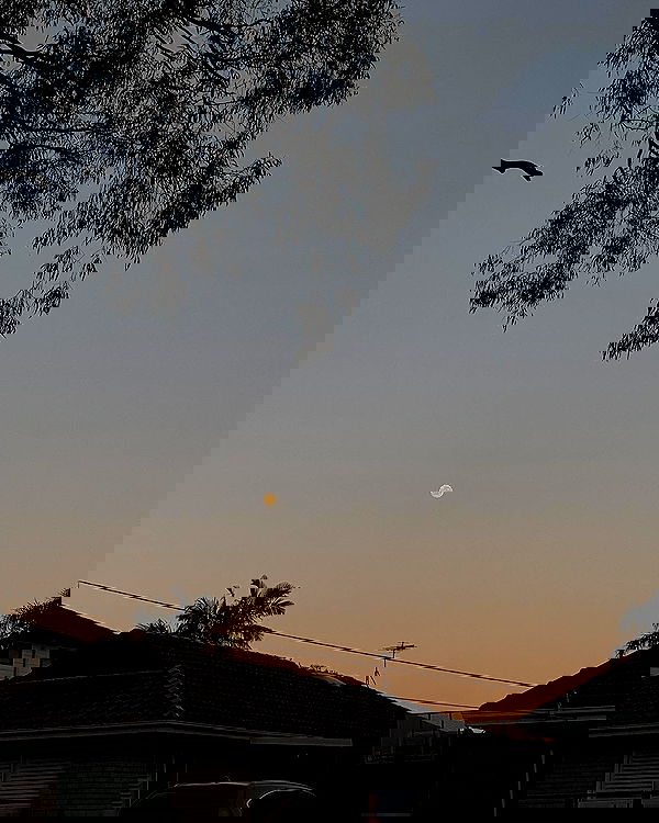 allygravemade image ~ Altpins