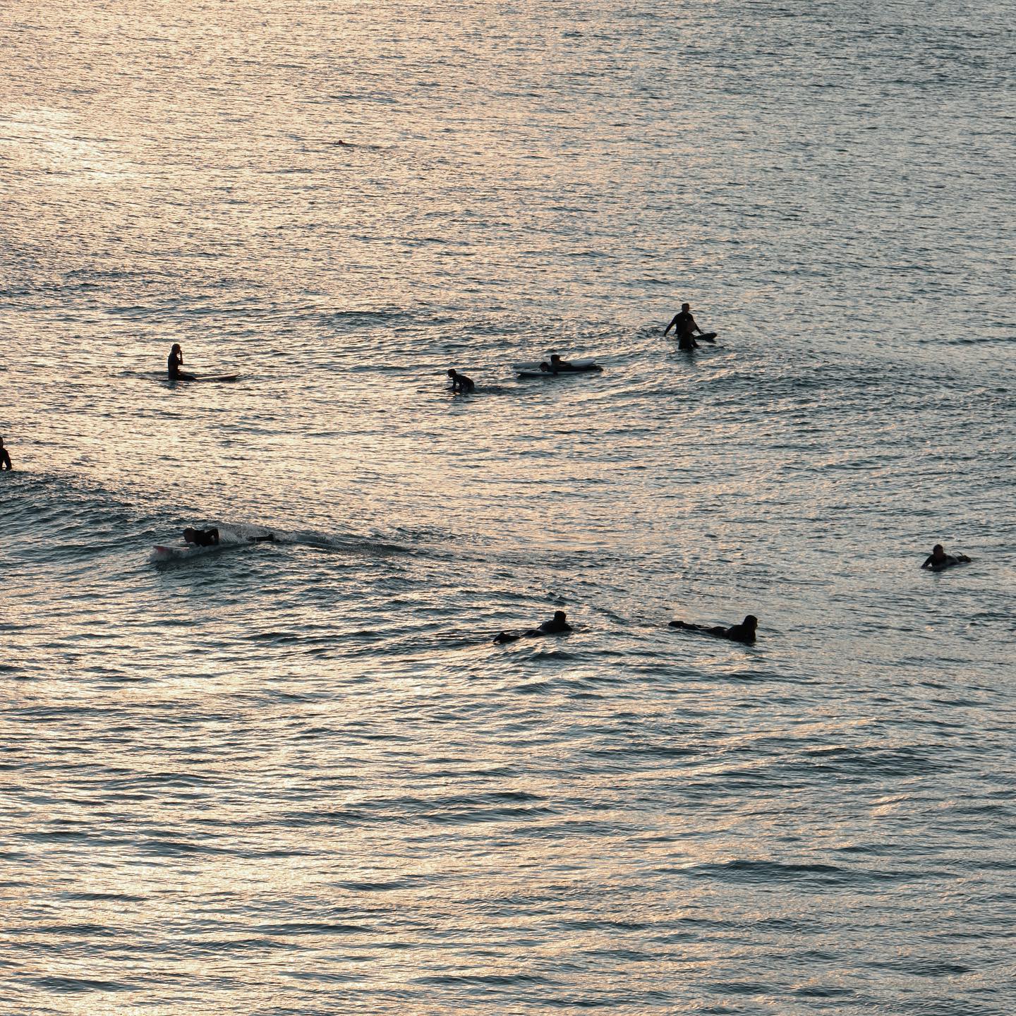 allygravemade instagram image archive image