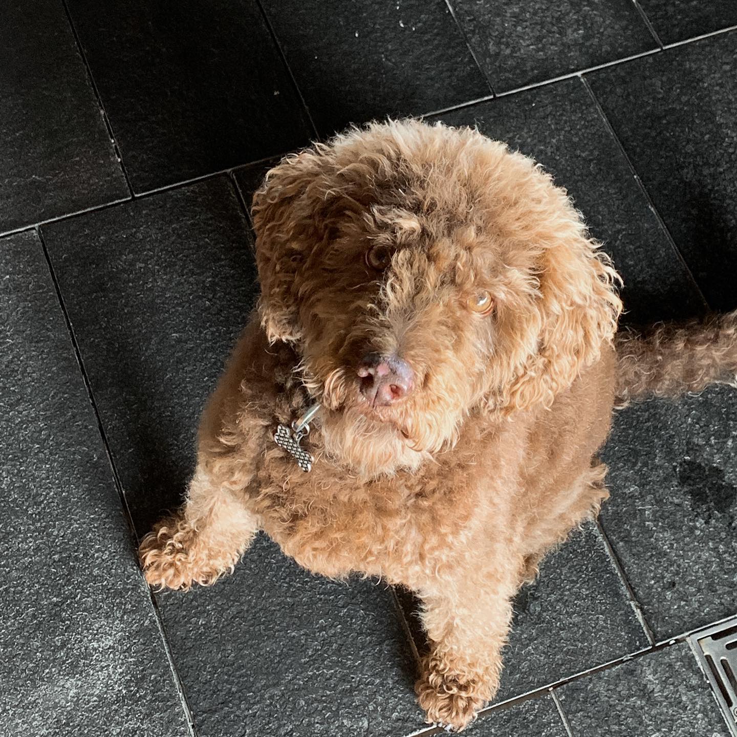 allygravemade instagram image archive image