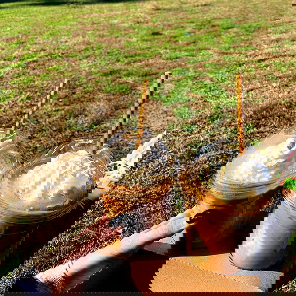 allygravemade image ~ Altpins