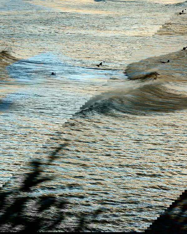 allygravemade image ~ Altpins