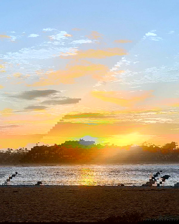 allygravemade image ~ Altpins