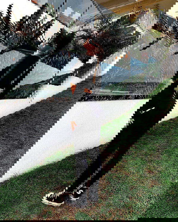 allygravemade image ~ Altpins