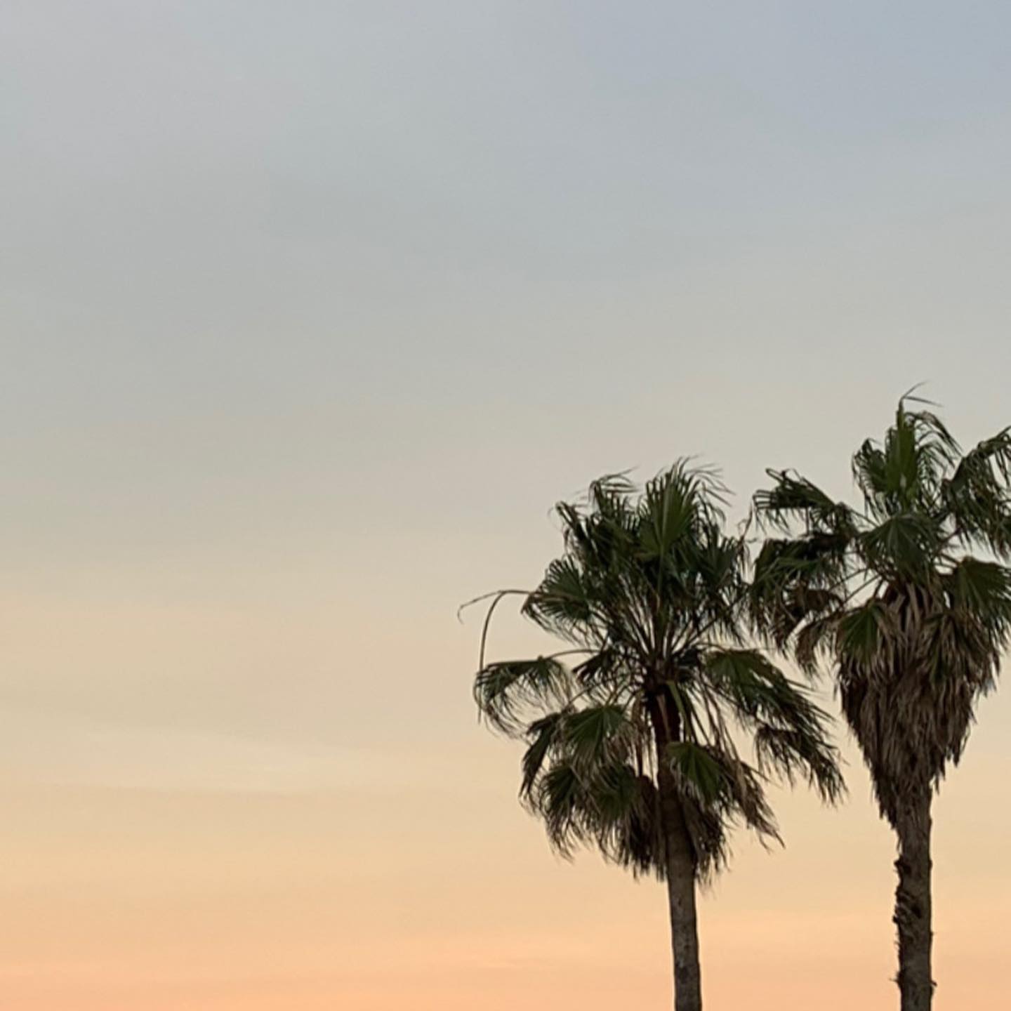 allygravemade instagram image archive image