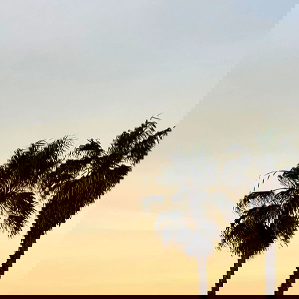 allygravemade image ~ Altpins