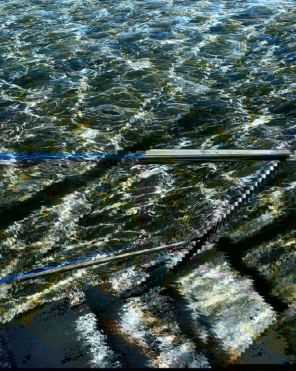 allygravemade image ~ Altpins