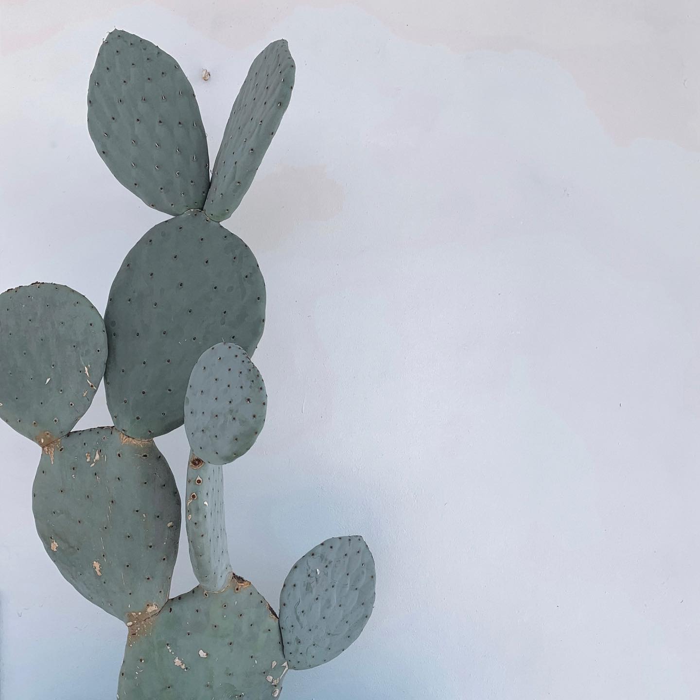 allygravemade instagram image archive image