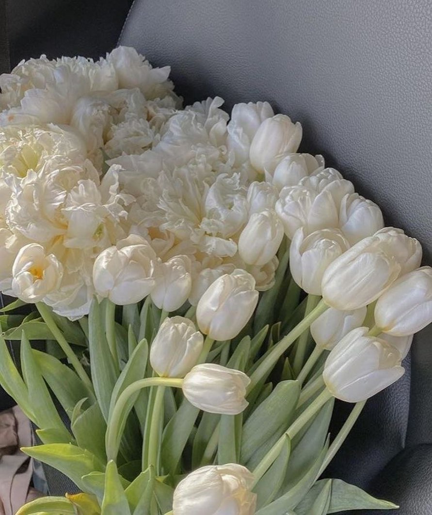 allygravemade instagram image archive image