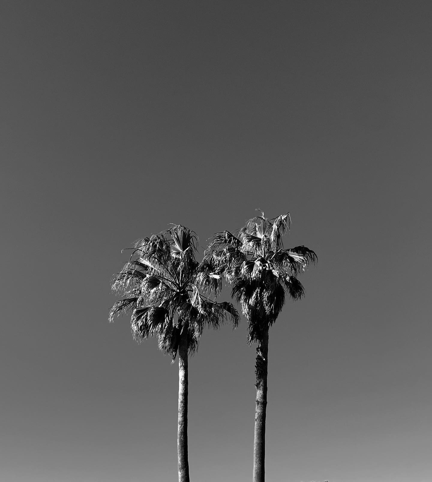 allygravemade instagram image archive image