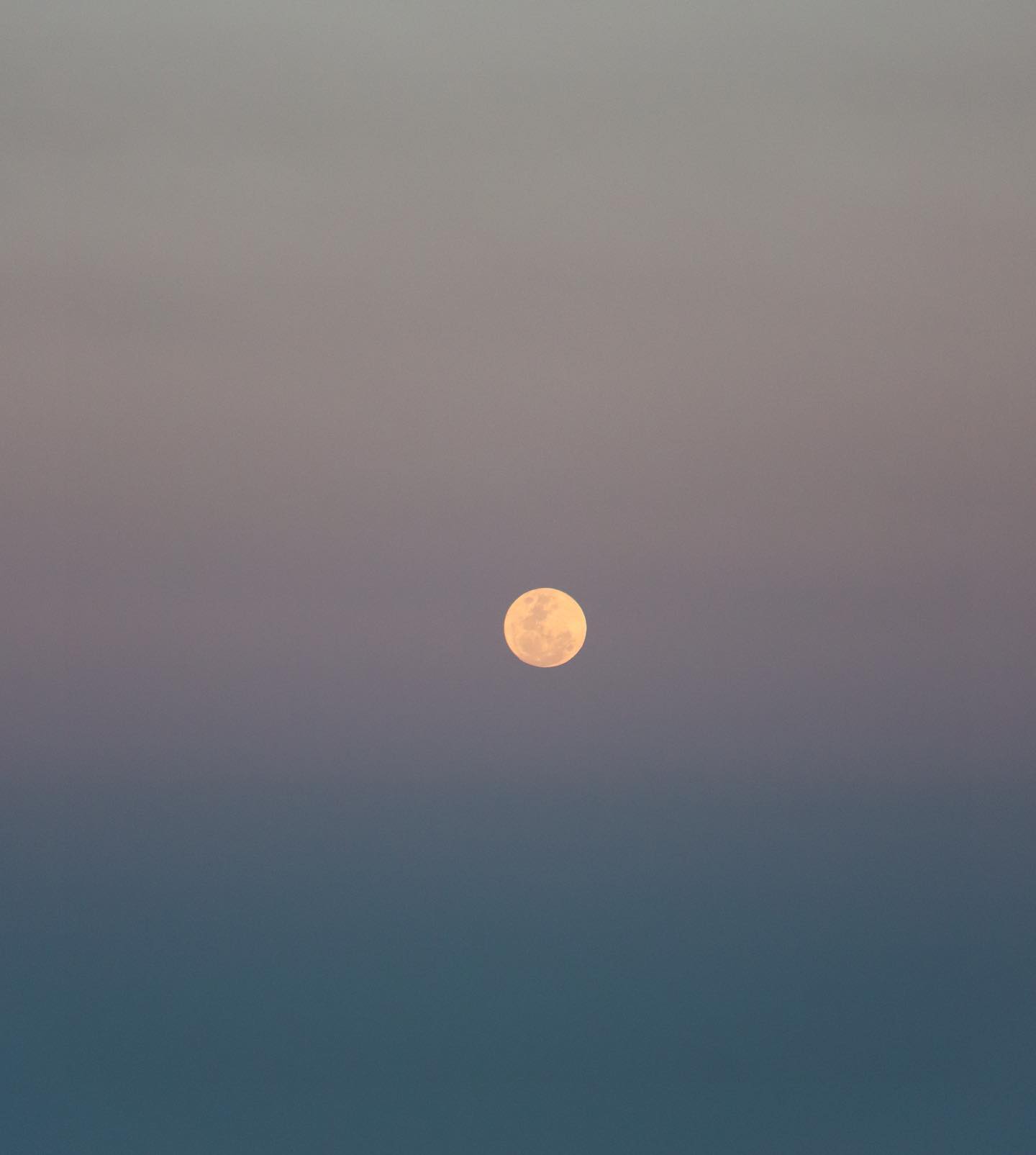 allygravemade instagram image archive image