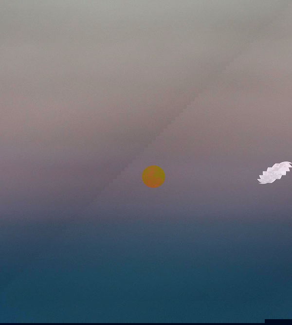 allygravemade image ~ Altpins