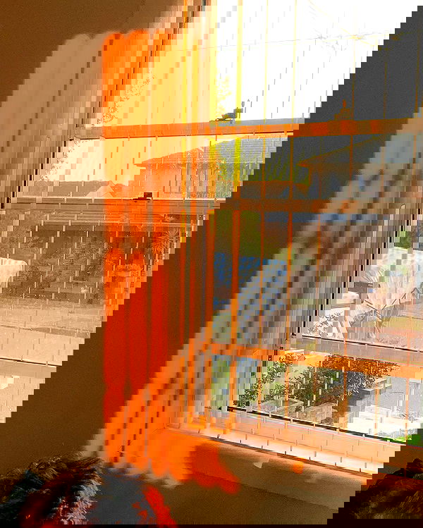 allygravemade image ~ Altpins