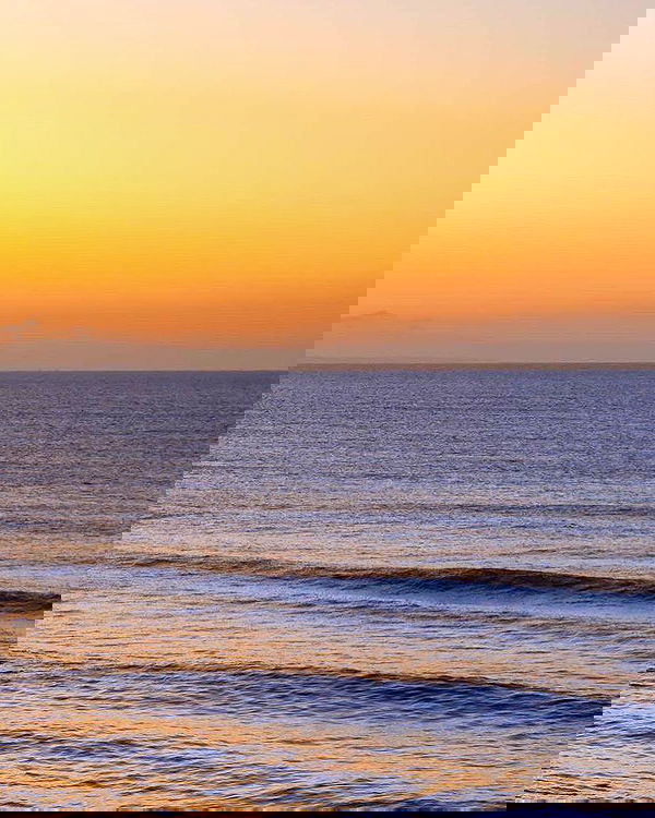 allygravemade image ~ Altpins