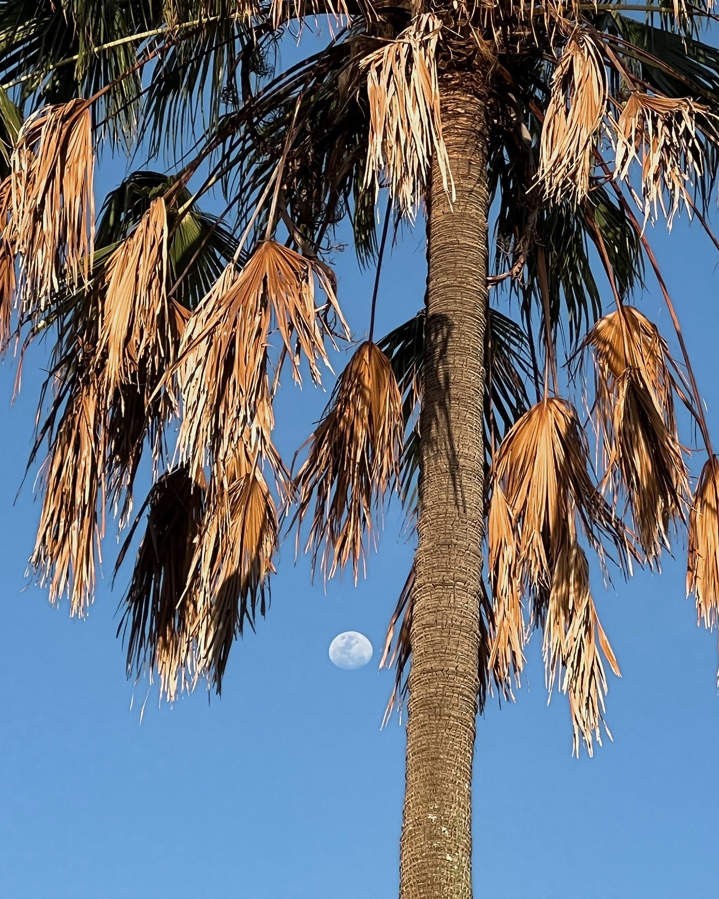 allygravemade instagram image archive image