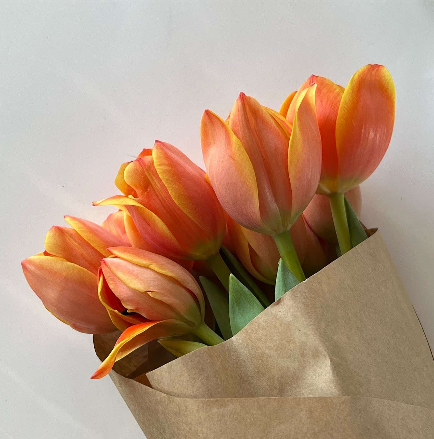 allygravemade instagram image archive image