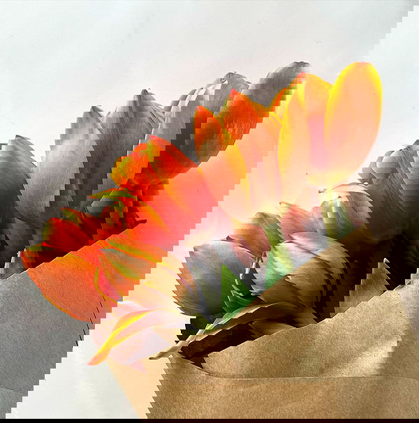 allygravemade image ~ Altpins