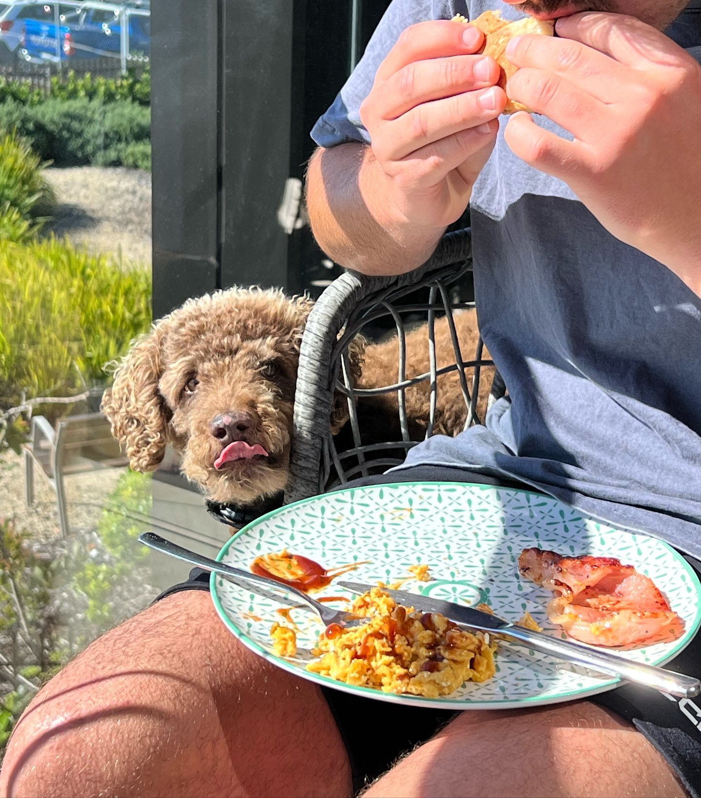 allygravemade instagram image archive image