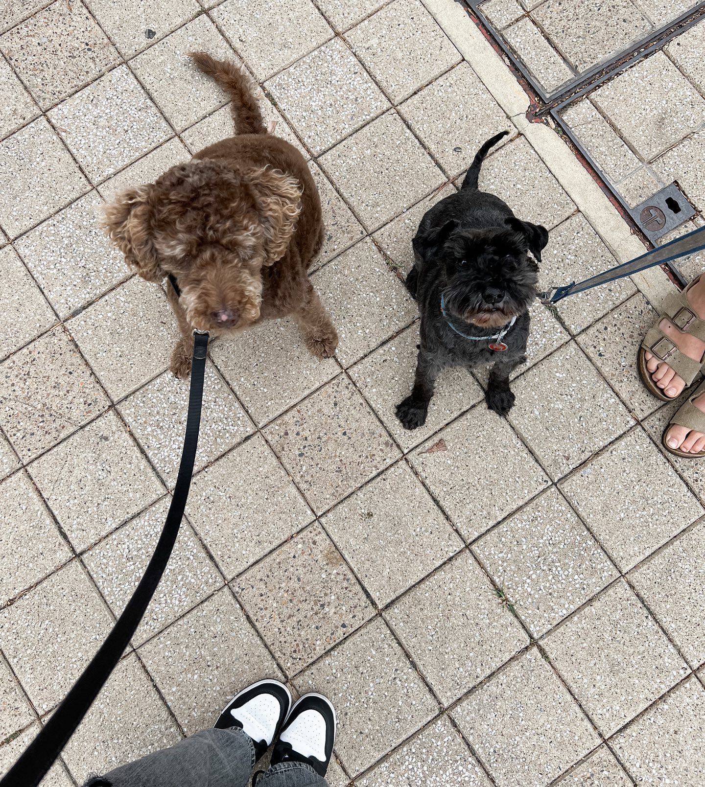 allygravemade instagram image archive image