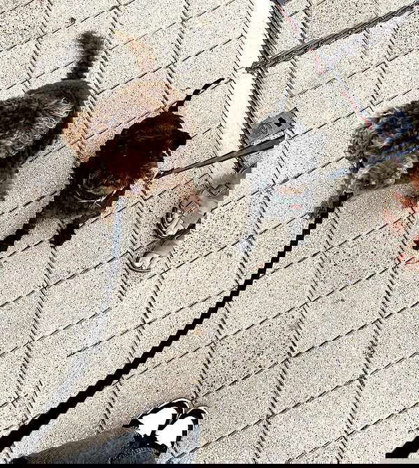 allygravemade image ~ Altpins