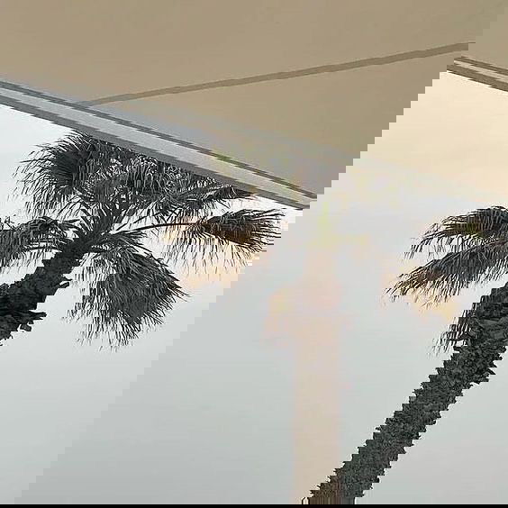 allygravemade instagram image archive image