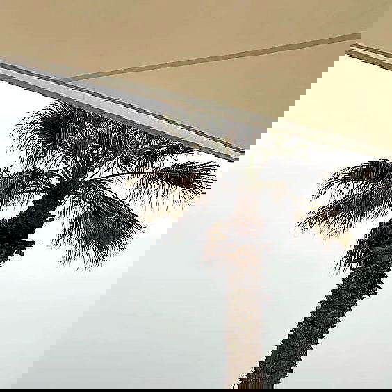 allygravemade image ~ Altpins