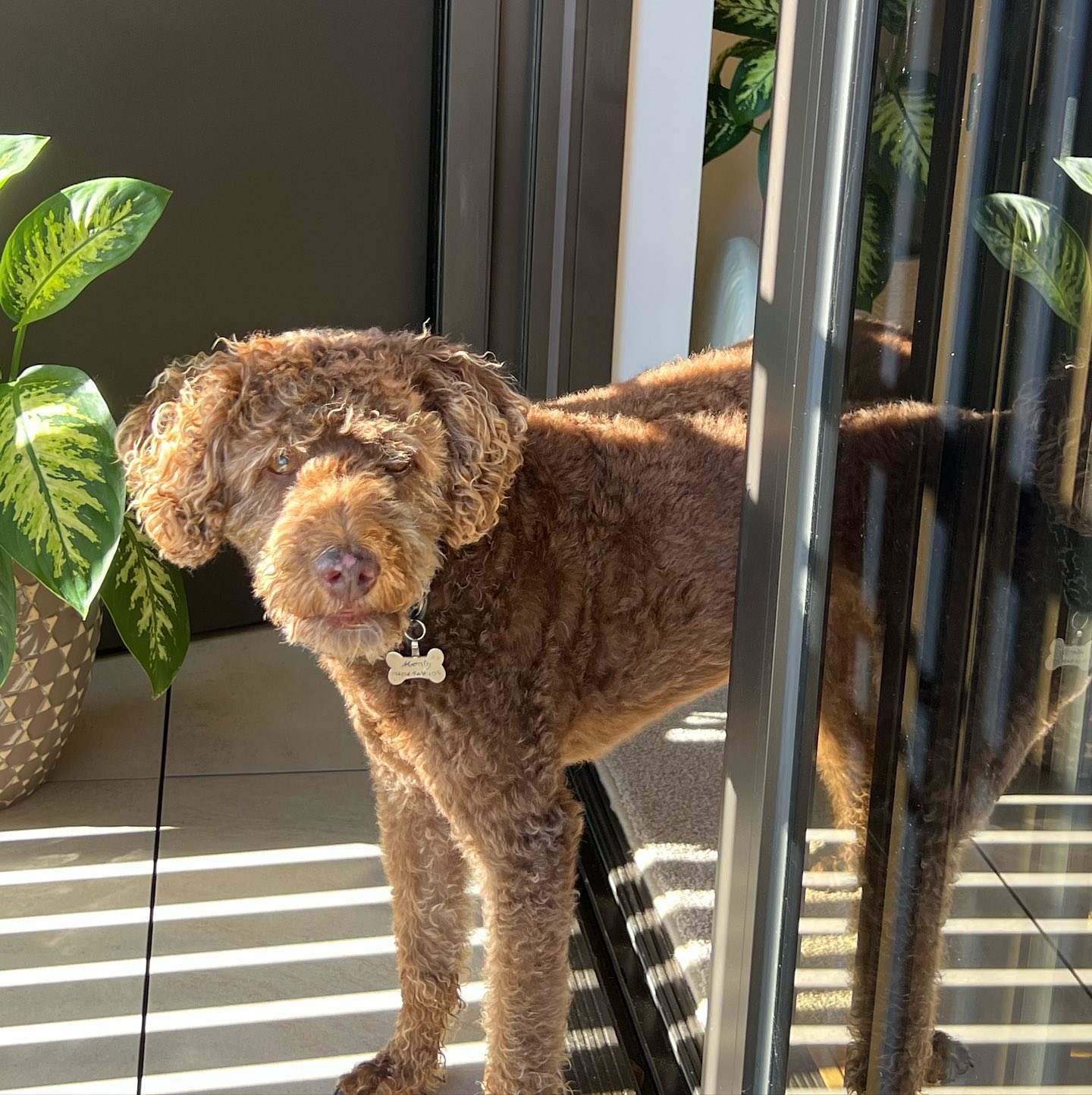 allygravemade instagram image archive image