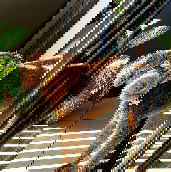 allygravemade image ~ Altpins