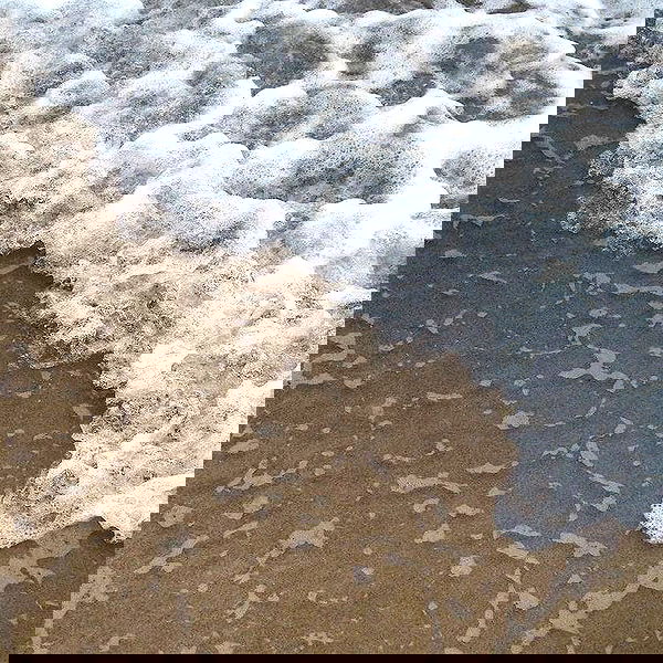 allygravemade image ~ Altpins