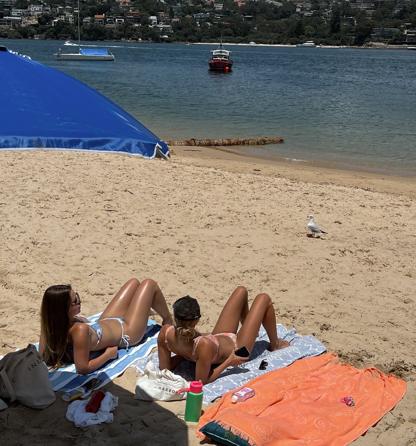 allygravemade instagram image archive image