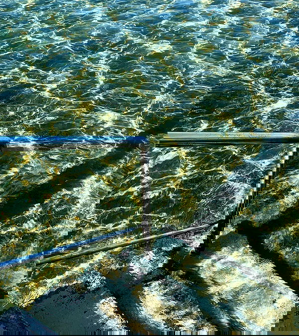 allygravemade image ~ Altpins