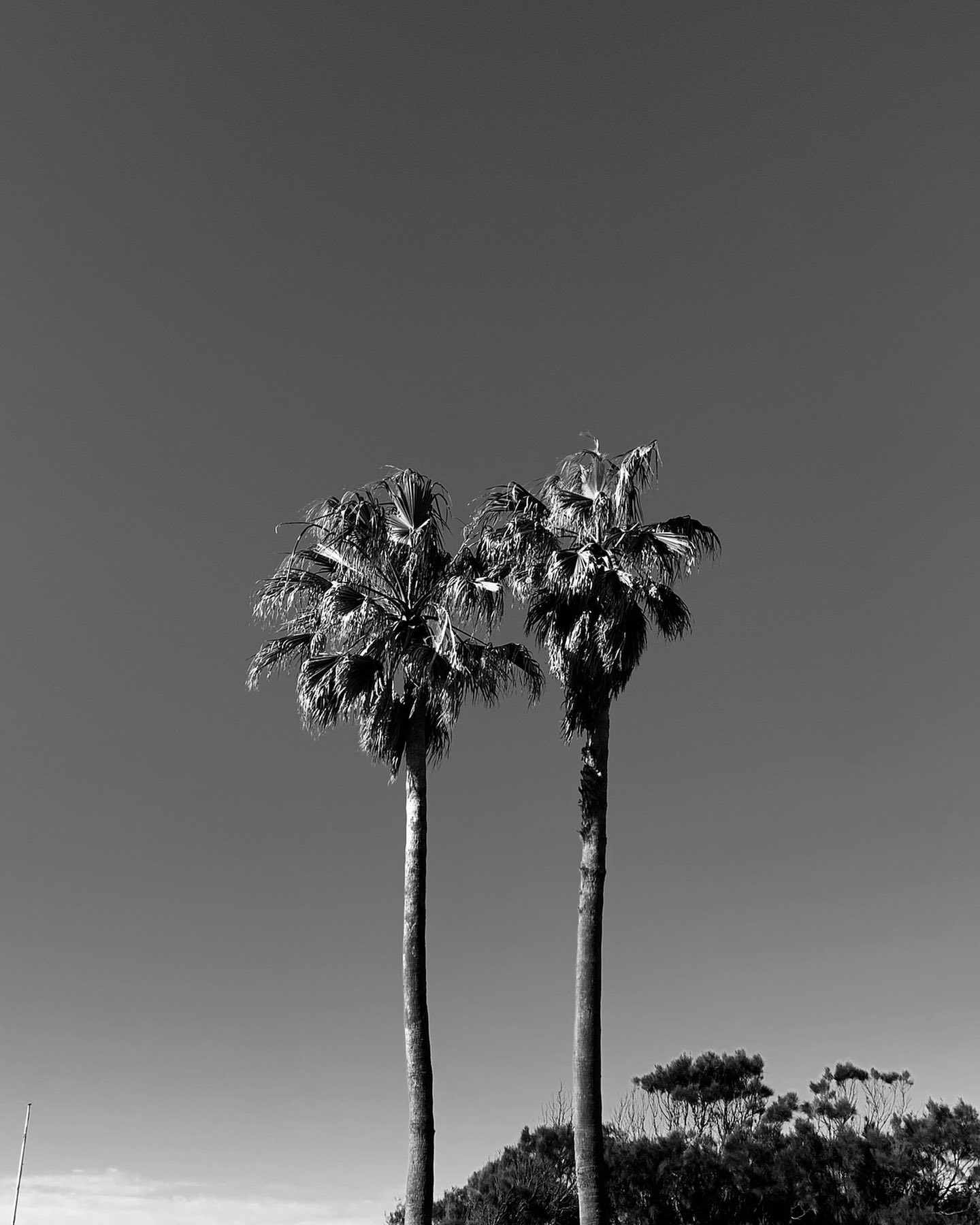 allygravemade instagram image archive image