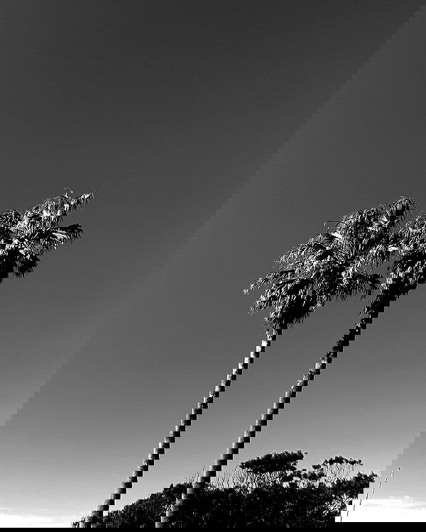 allygravemade image ~ Altpins